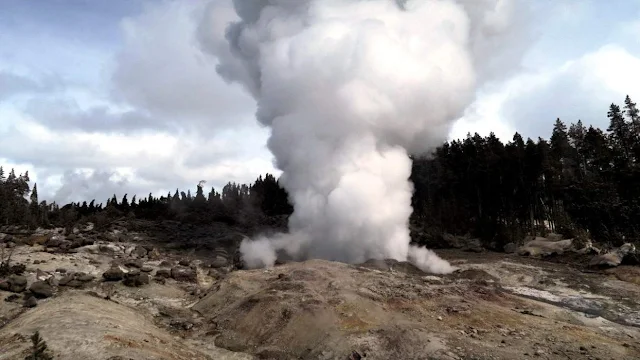 World's Tallest Geyser in Yellowstone Erupts for Fifth Time This Year