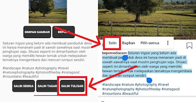 Cara copy paste caption orang di Instagram