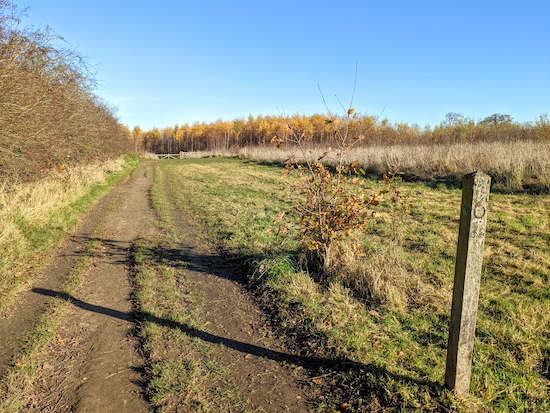 Head NE with the hedgerow on the left and field on the right