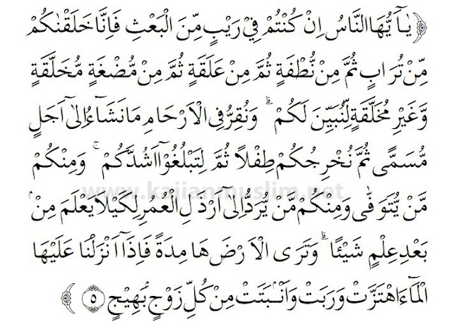 Terjemahan Surat Al-Hajj Ayat 5