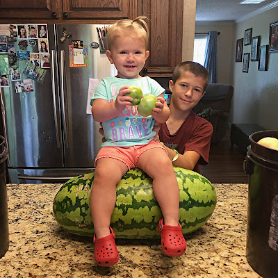 super-sized watermelon