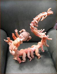 Doll-centipede