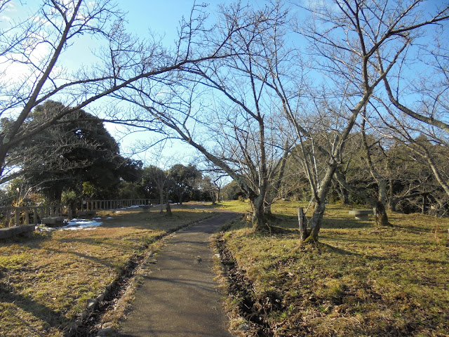 清水展望台(清水公園)