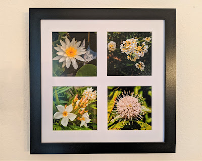 White and Yellow Flowers Tetraptych by Citysqwirl