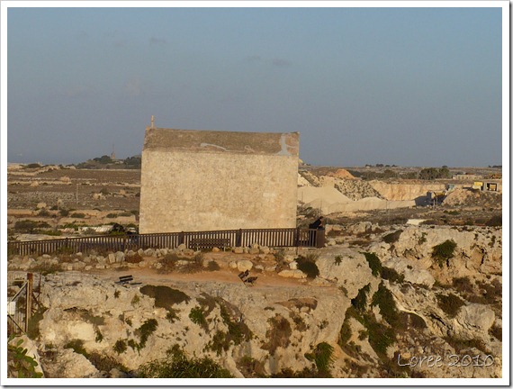 Dingli Cliffs 004