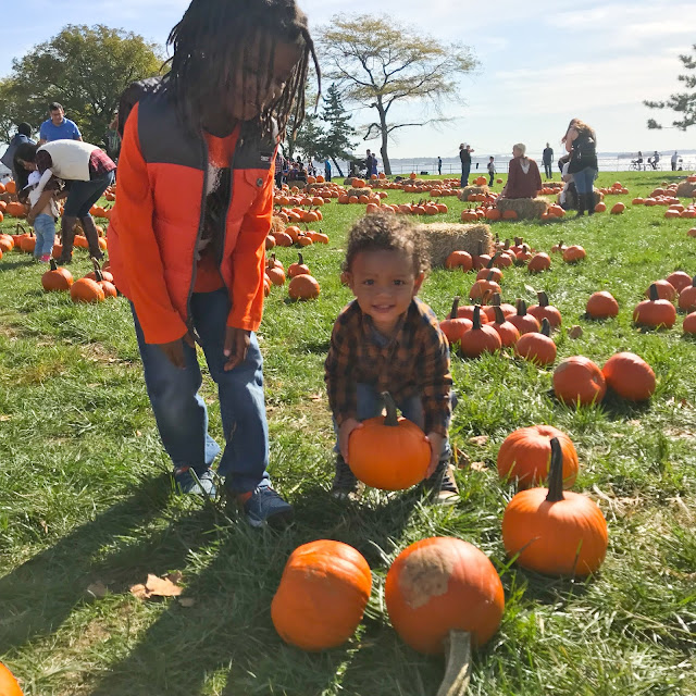 A Visit to Governors Island Pumpkin Point