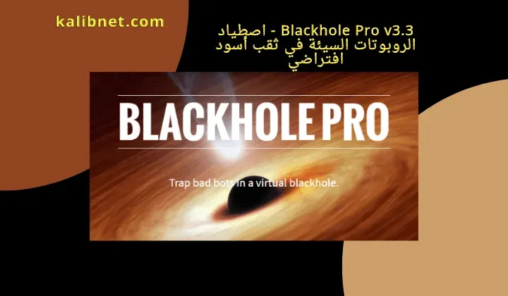 Blackhole Pro v3.3 - Trap Bad Bots In a Virtual Blackhole