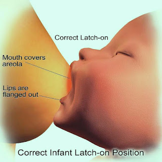 Correct Breast Feeding Position