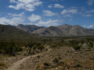 Coyote Canyon (40)