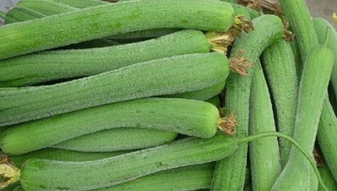 Mua mướp phải biết chiêu này, sẽ chọn được quả vừa ngọt vừa thơm - 4
