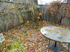 Coxwell Danforth Back Garden Fall Cleanup Before by Paul Jung Gardening Services--a Toronto Organic Gardening Company