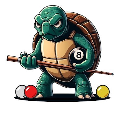 Tortoise Pool Player