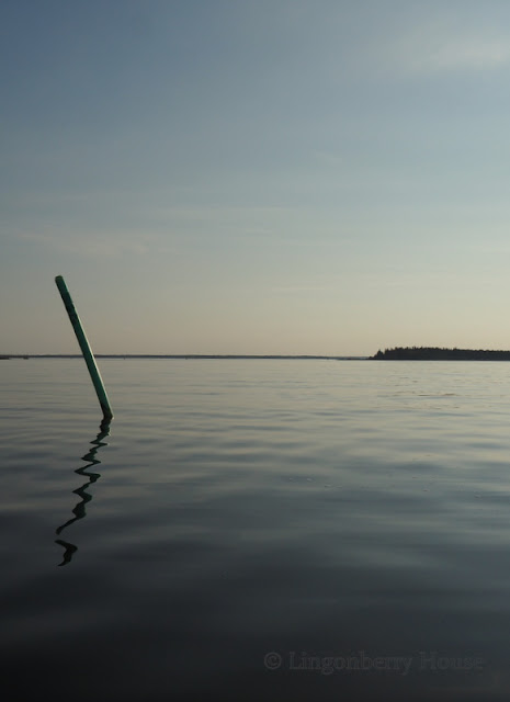 lingonberryhouse, autumn, viivi, syksy, meri, at sea, calm, pläkä