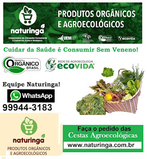 www.naturinga.com.br