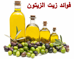 فوائد زيت الزيتون