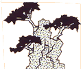 enroca