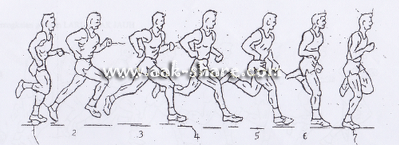 Hal hal yang Perlu di Perhatikan Pada Lari Jarak Menengah