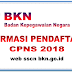 Pendaftaran CPNS 2018 Hanya Melalui sscn.bkn.go.id. Berikut Informasi Selengkapnya