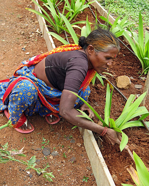 woman at work on flower bed