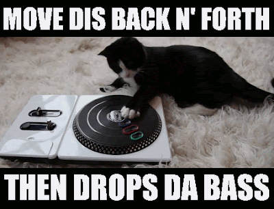 cat gif DJ