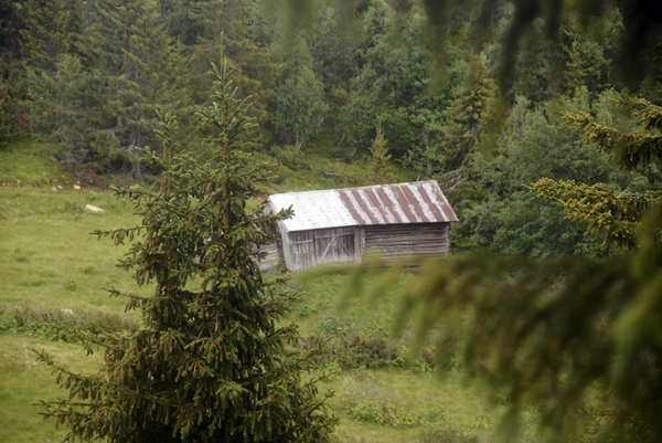 vardefjell buvasstøla stolpejakt