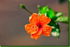 clip_image027