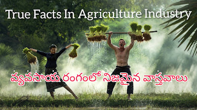 agriculture industry  true facts in agriculture industry  agro based industries  industrial farming  large scale farming  agribusiness companies  agriculture and industry