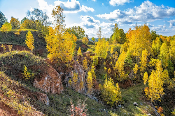 Деревья на скалах в лучах осеннего солнца