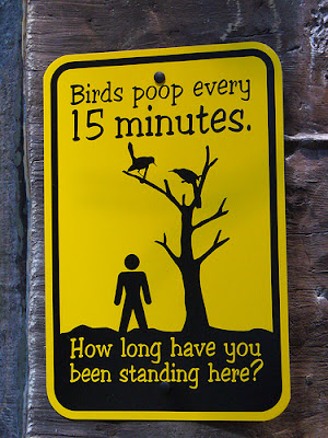 Bird poop sign