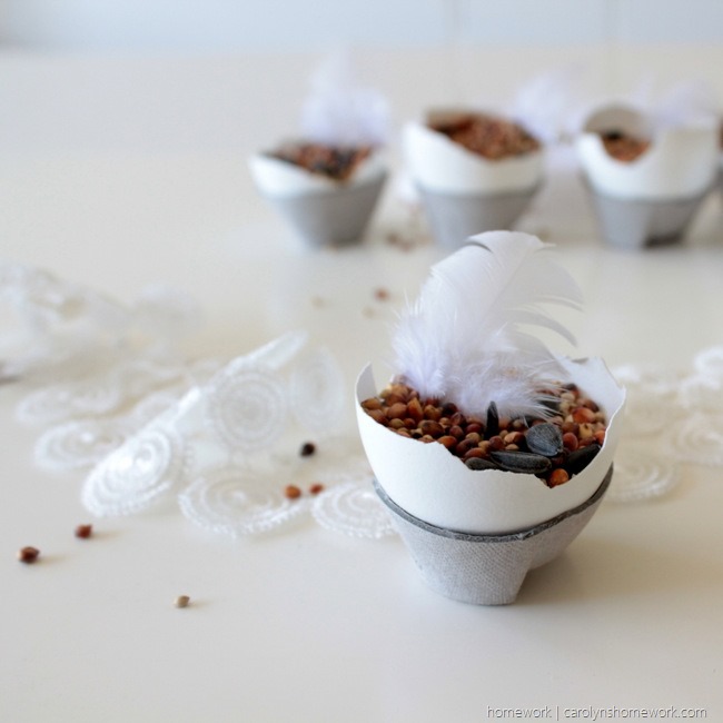Wedding Birdseed in Eggshells via homework - carolynshomework (7)