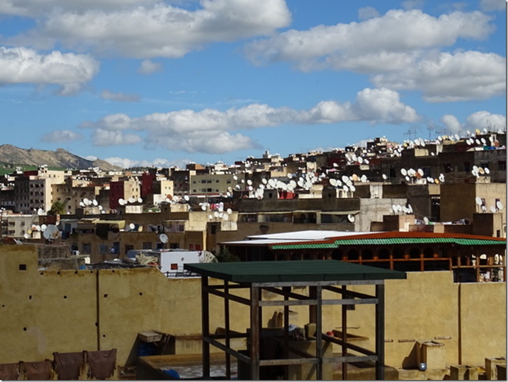 20-DSC05366