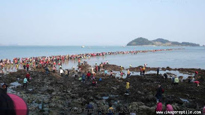 Laut Terbelah Menjadi Dua Menakjubkan