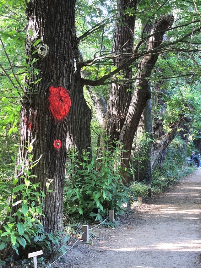 Antwerpen:  babbelende bomen in Boekenbergpark