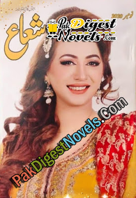 Shuaa Digest November 2020 Read and Download PDF