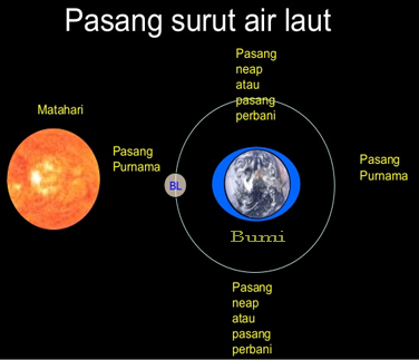 Pengertian dan Penyebab Terjadi Pasang Surut Air Laut