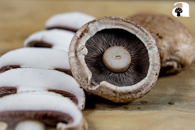 Portobello Mushrooms