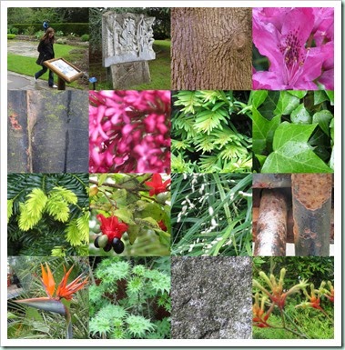 botanic garden 1