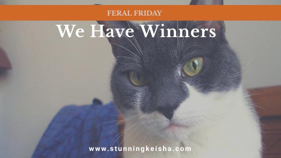 Feral Friday: We Have Winners