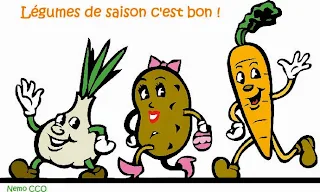 Légumes de janvier, 110 idées de recettes de saison