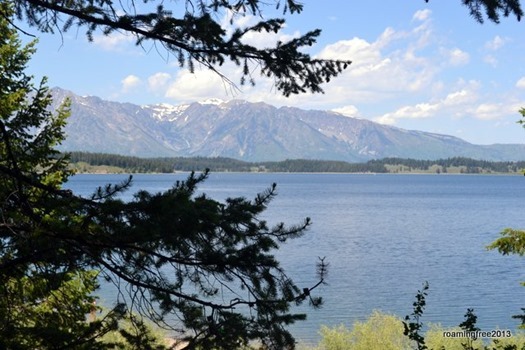 Jackson Lake