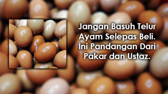 Penjelasan Kenapa Tidak Boleh Basuh Telur Ayam Selepas Beli