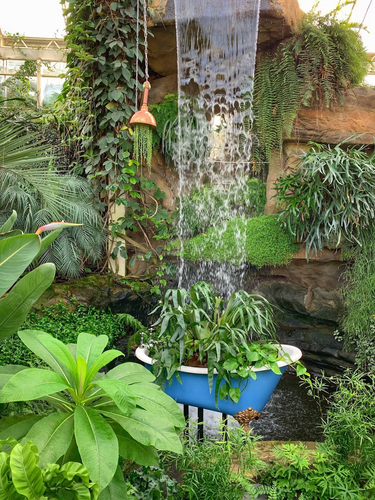 Giant Houseplant Takeover at RHS Wisley 