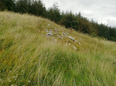 Ballycoolan Cairn, Laois