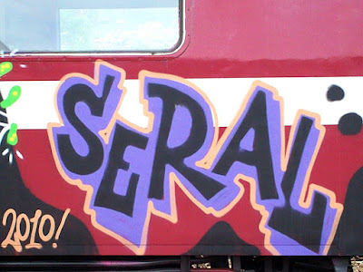 THE LETHAL POISON graffiti crew including seral and petar