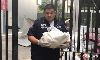 Photos: Mother throws her newborn baby to his death from 17th floor of condo to spite her married ex-boyfriend who abandoned her 