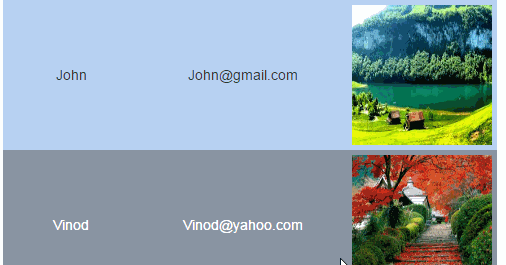 How to set color for ODD and EVEN rows in HTML Table using CSS ...