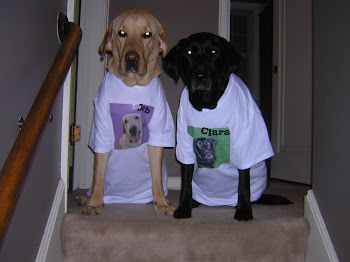 Jeb and Clara model their shirts from Kristy!