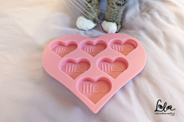 pink catit silicone ice tray