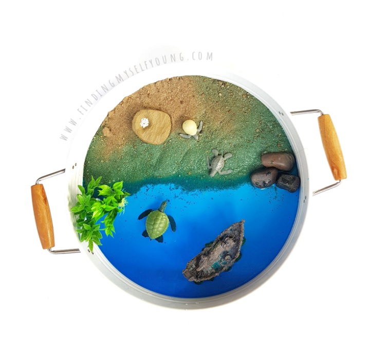 turtle life cycle small world invitation to play in a tray