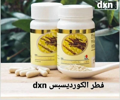 ما هو منتج فطر الكورديسيبس dxn